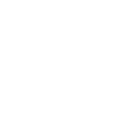 cuir de lic'orne, artisan d'art à Boitron 61, normandie, France, travail du cuir artisanal, cuir repoussé, réalisations sur mesures, un artisan à votre écoute, western line dance, country